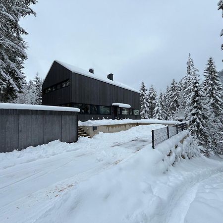 Chalet Dachstein Ramsau am Dachstein Luaran gambar